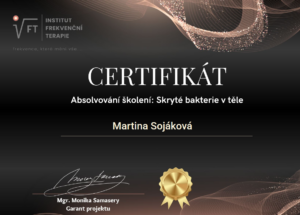 Snímek obrazovky 2026-03-01 201414