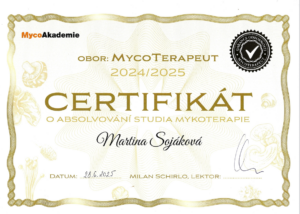 Snímek obrazovky 2026-03-02 152531