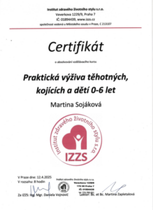 Snímek obrazovky 2026-03-02 164002
