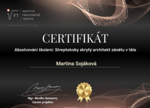 Snímek obrazovky 2026-03-25 084101